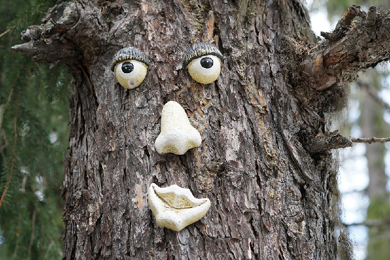 Art sylvestre forêt d'Argentière Art sylvestre