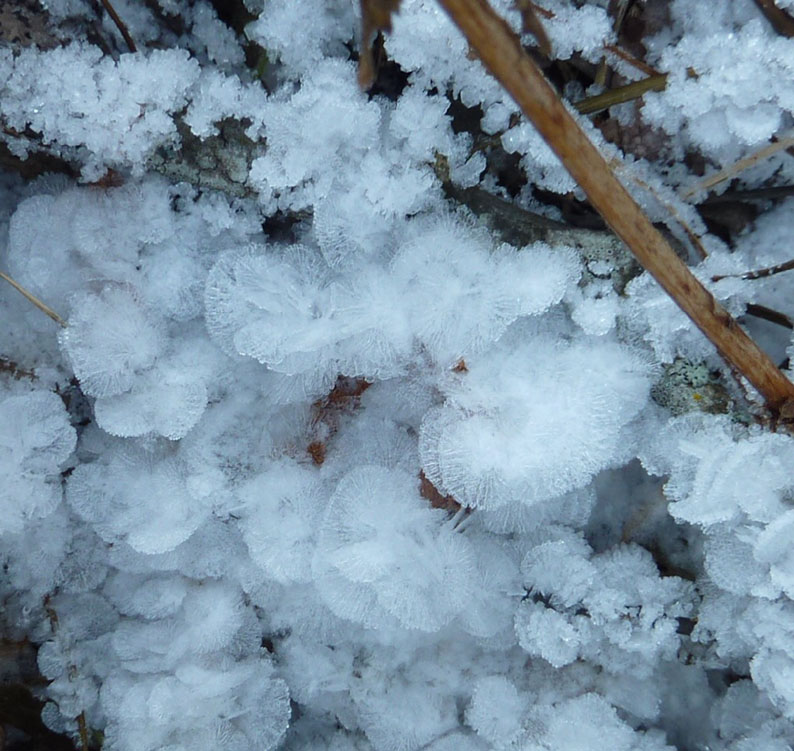 Harmonie cristalline Harmonie cristalline