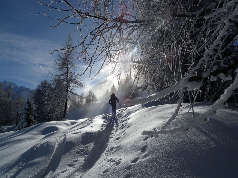 Vers la cime de Carraye (Suisse) Randonnée partage